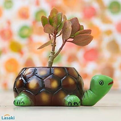 Tortoise big HP Planter for Indoor Plants,Planters,Flower,Outdoor,Balcony,Home,Garden,Office Decor,Succulent Pot(Hand Painted Green Neck)(L:19.5 cm,W:13.5 cm,H:7 cm)