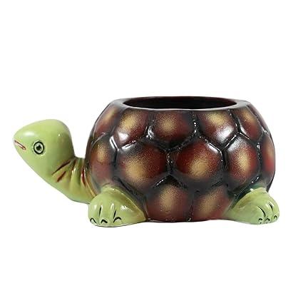 Tortoise big HP Planter for Indoor Plants,Planters,Flower,Outdoor,Balcony,Home,Garden,Office Decor,Succulent Pot(Hand Painted Green Neck)(L:19.5 cm,W:13.5 cm,H:7 cm)