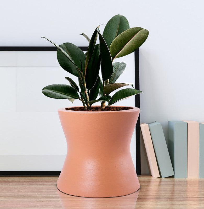 Damru Ceramic Pots for Indoor Plants Planters Living Room Bedroom Plant Container Set (Ceramic)